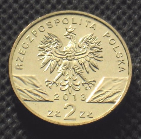 Polish-Or-Maybe-Russian?-ID-Needed