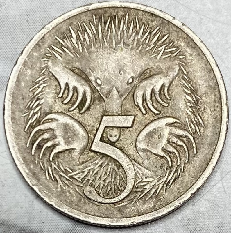 1977-5-C-Error-Or-PMD?