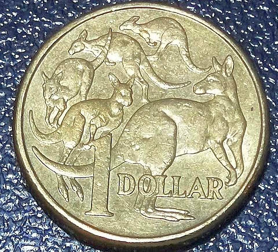 $1-Mob-Of-Roos---3RD-Roo-Missing-Right-Rear-Leg?