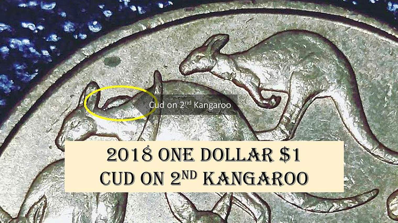 $1-Mob-Of-Roos---2018-Variations-&-Cud/Die-Chip