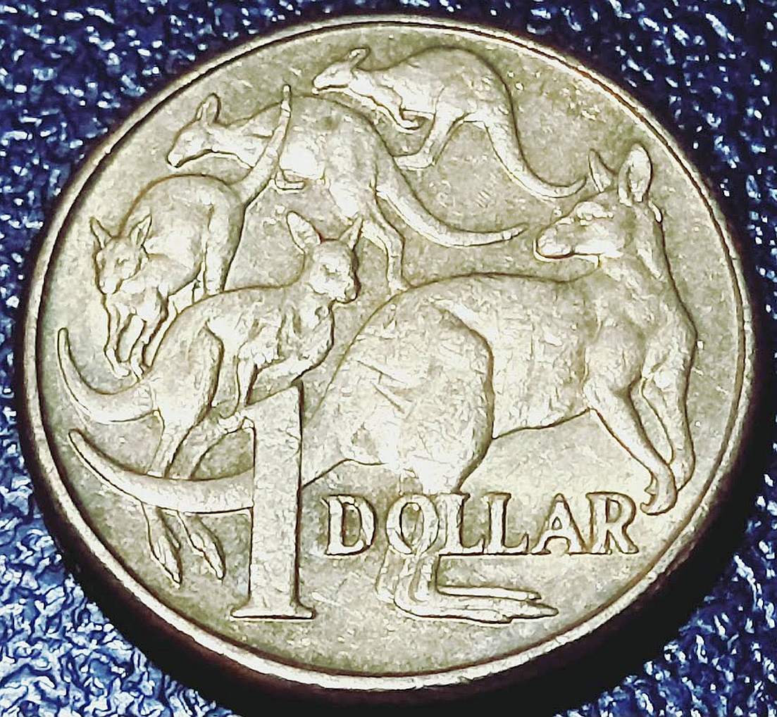2011-Mob-Of-Roos-$1-Cud