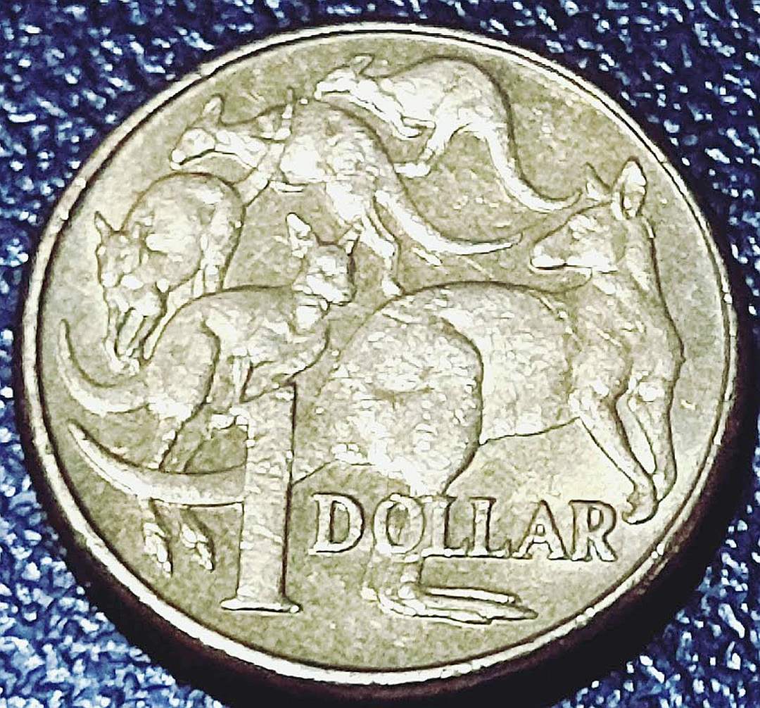 2011-Mob-Of-Roos-$1-Cud
