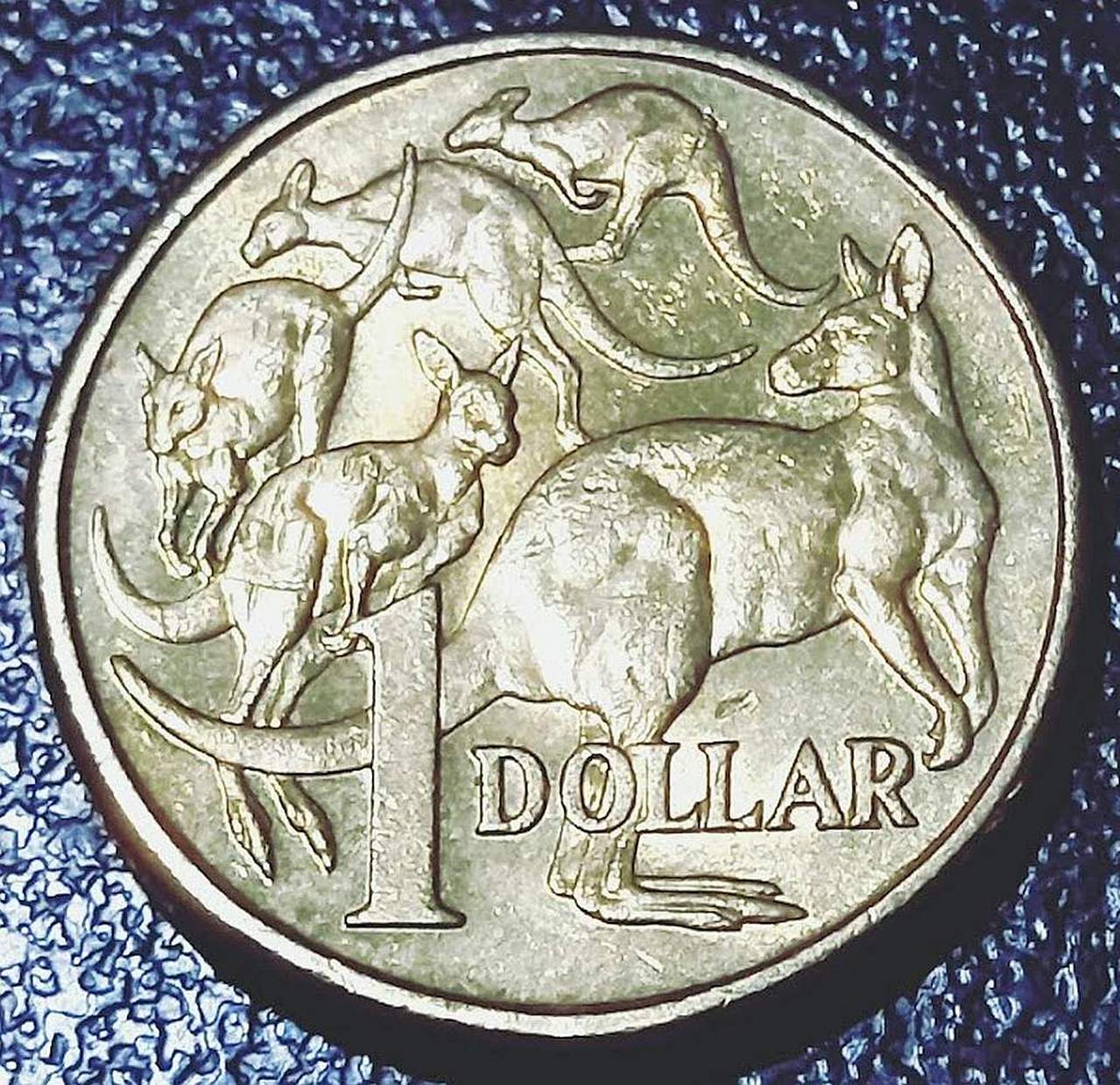$1-Mob-Of-Roos---2018-Variations-&-Cud/Die-Chip