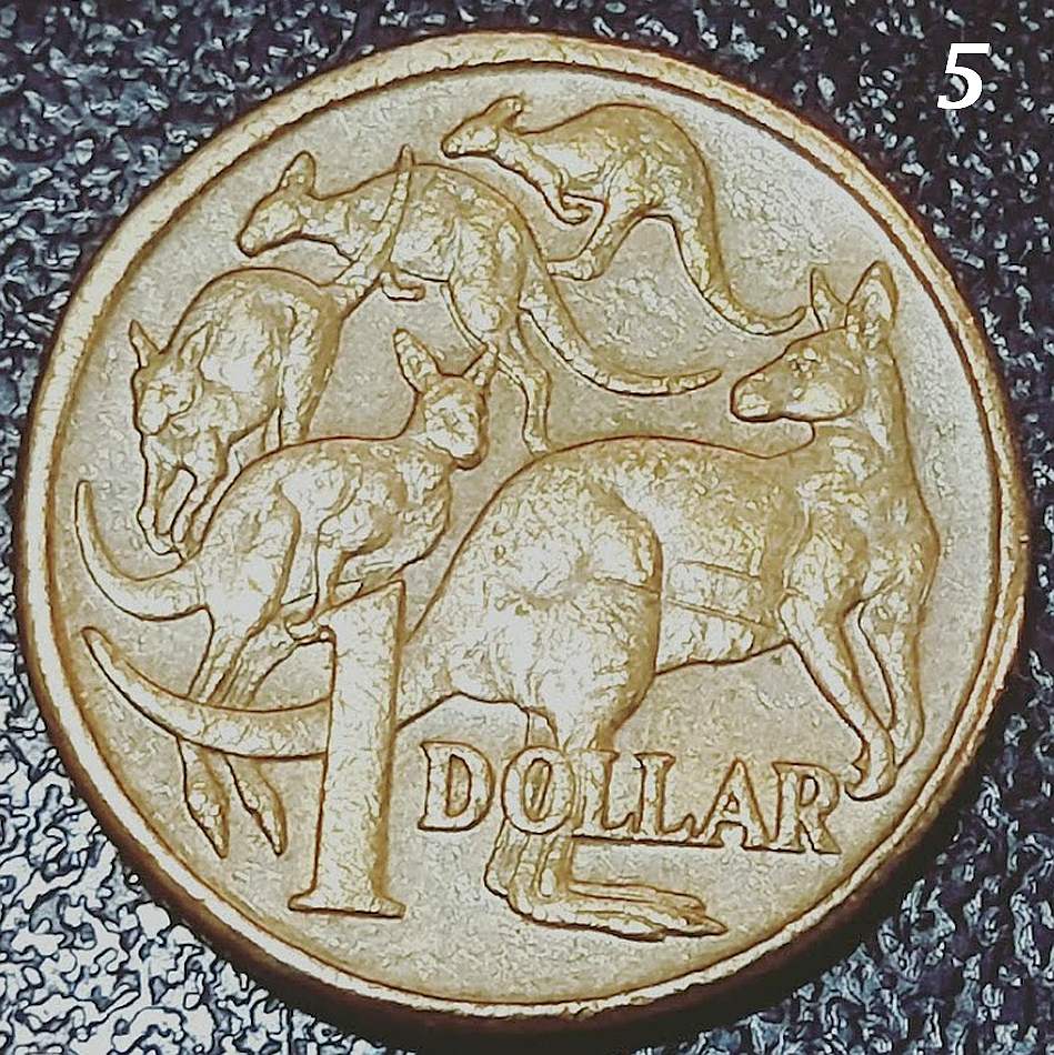 $1-Mob-Of-Roos---Double-Rim-Or-PMD?