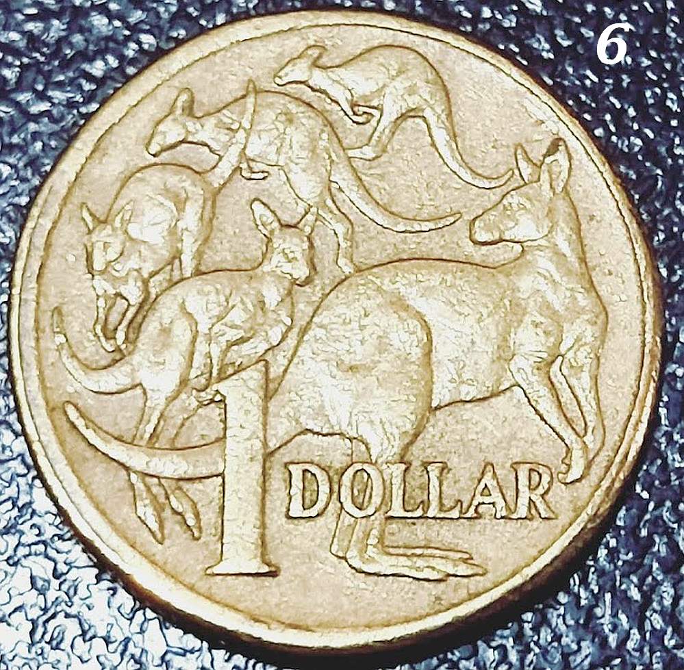 $1-Mob-Of-Roos---Double-Rim-Or-PMD?