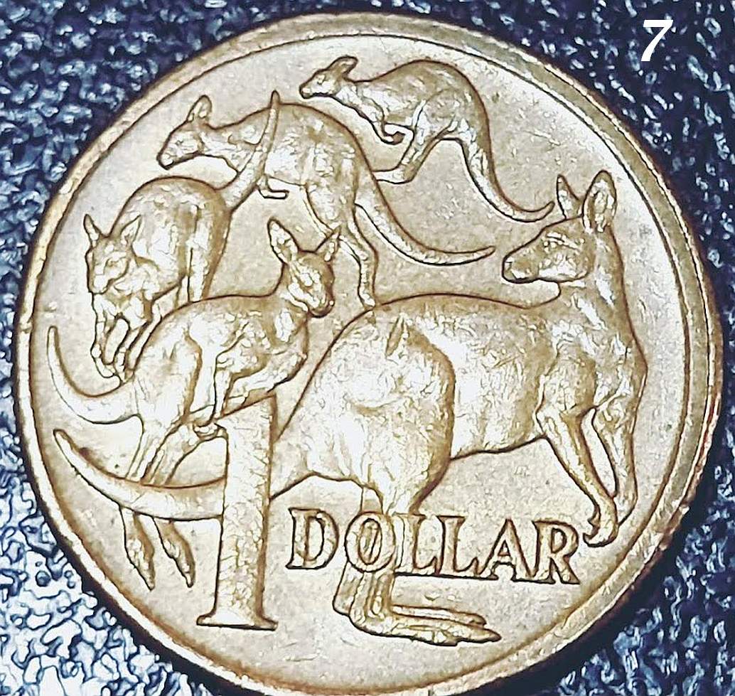 $1-Mob-Of-Roos---Double-Rim-Or-PMD?