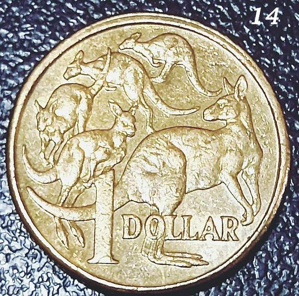 $1-Mob-Of-Roos---Double-Rim-Or-PMD?