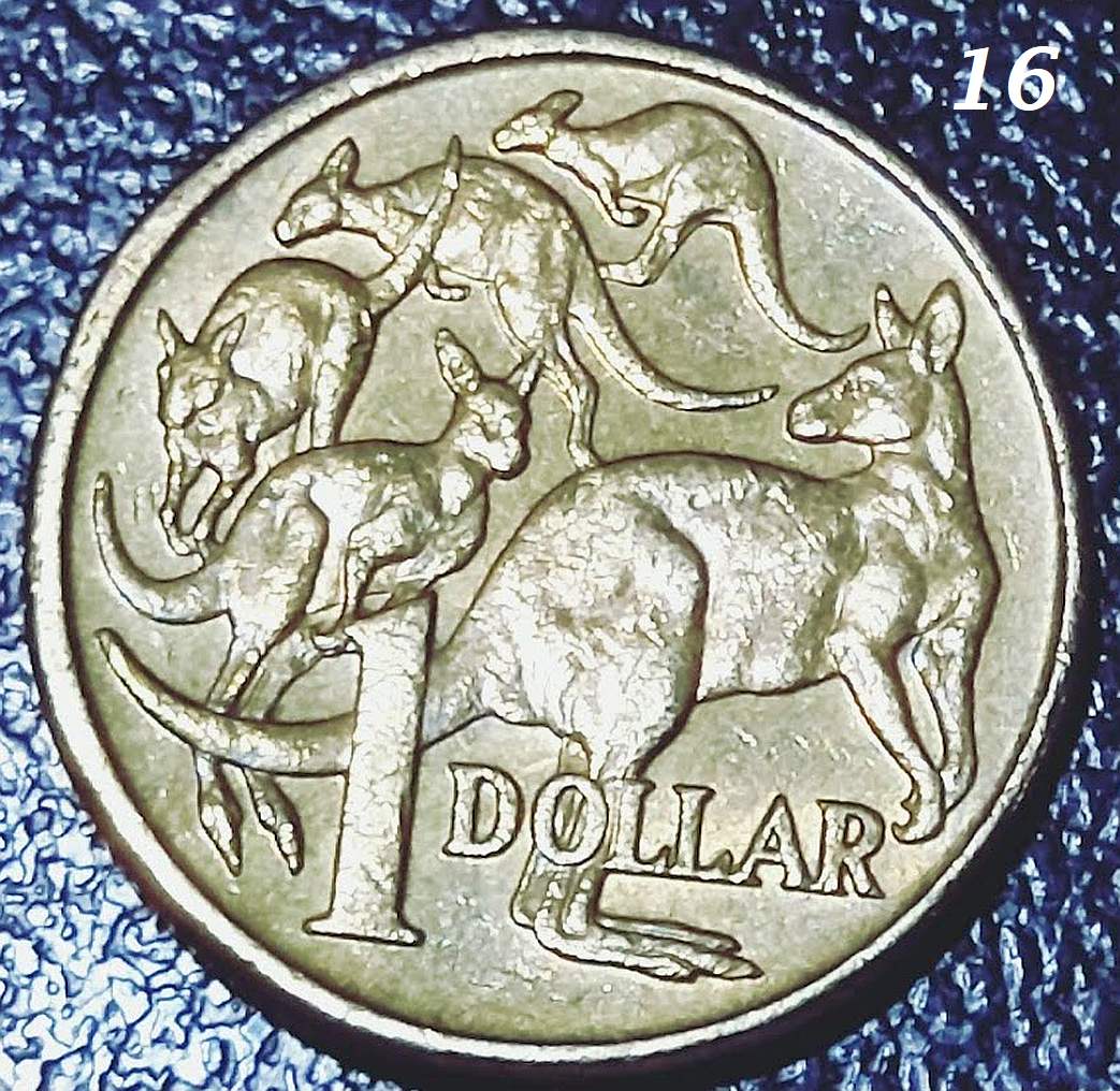 $1-Mob-Of-Roos---Double-Rim-Or-PMD?