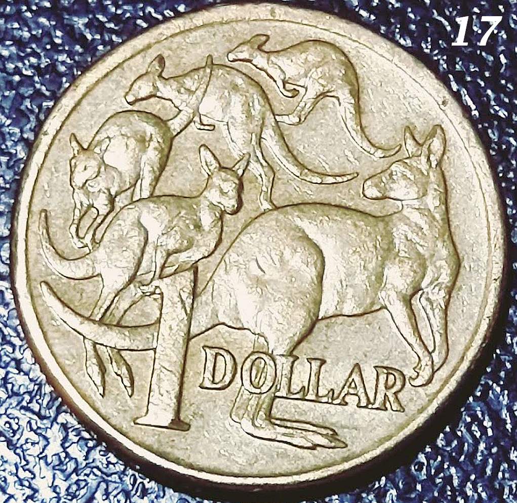 $1-Mob-Of-Roos---Double-Rim-Or-PMD?