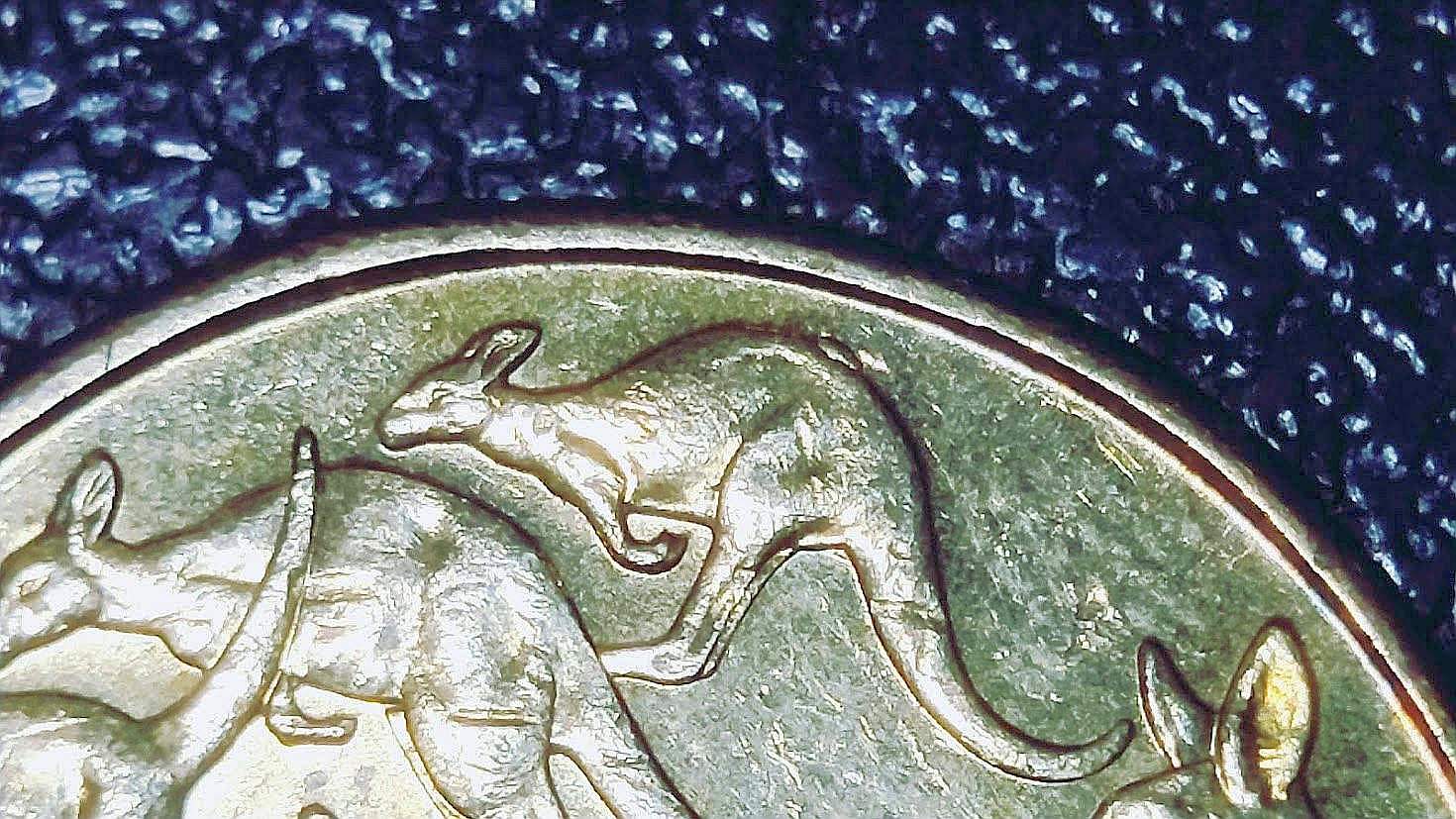 2019-$1-Coin-Mob-Of-Kangaroos-