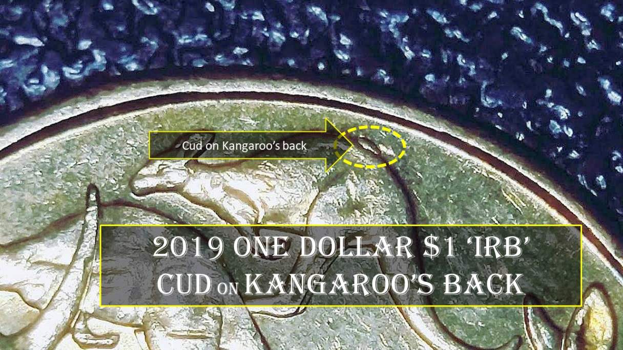 2019-$1-Coin-Mob-Of-Kangaroos-