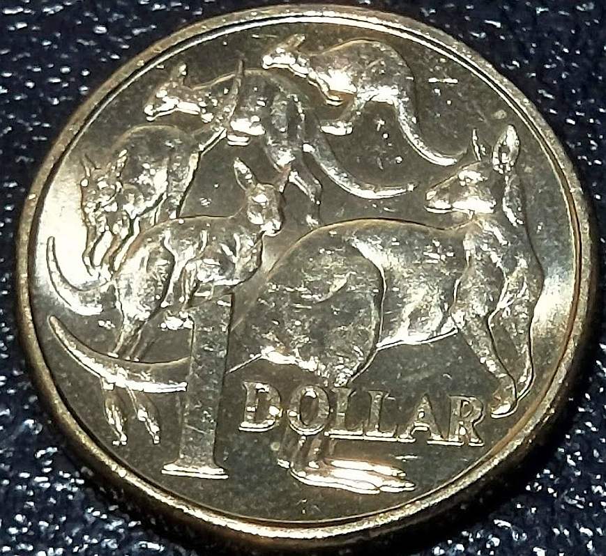 2019-$1-Coin-Mob-Of-Kangaroos-