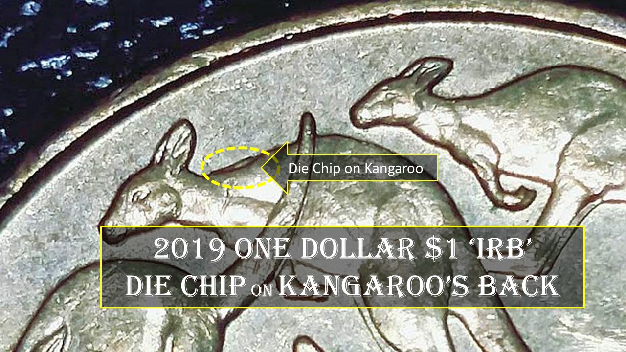 2019-$1-Coin-Mob-Of-Kangaroos-