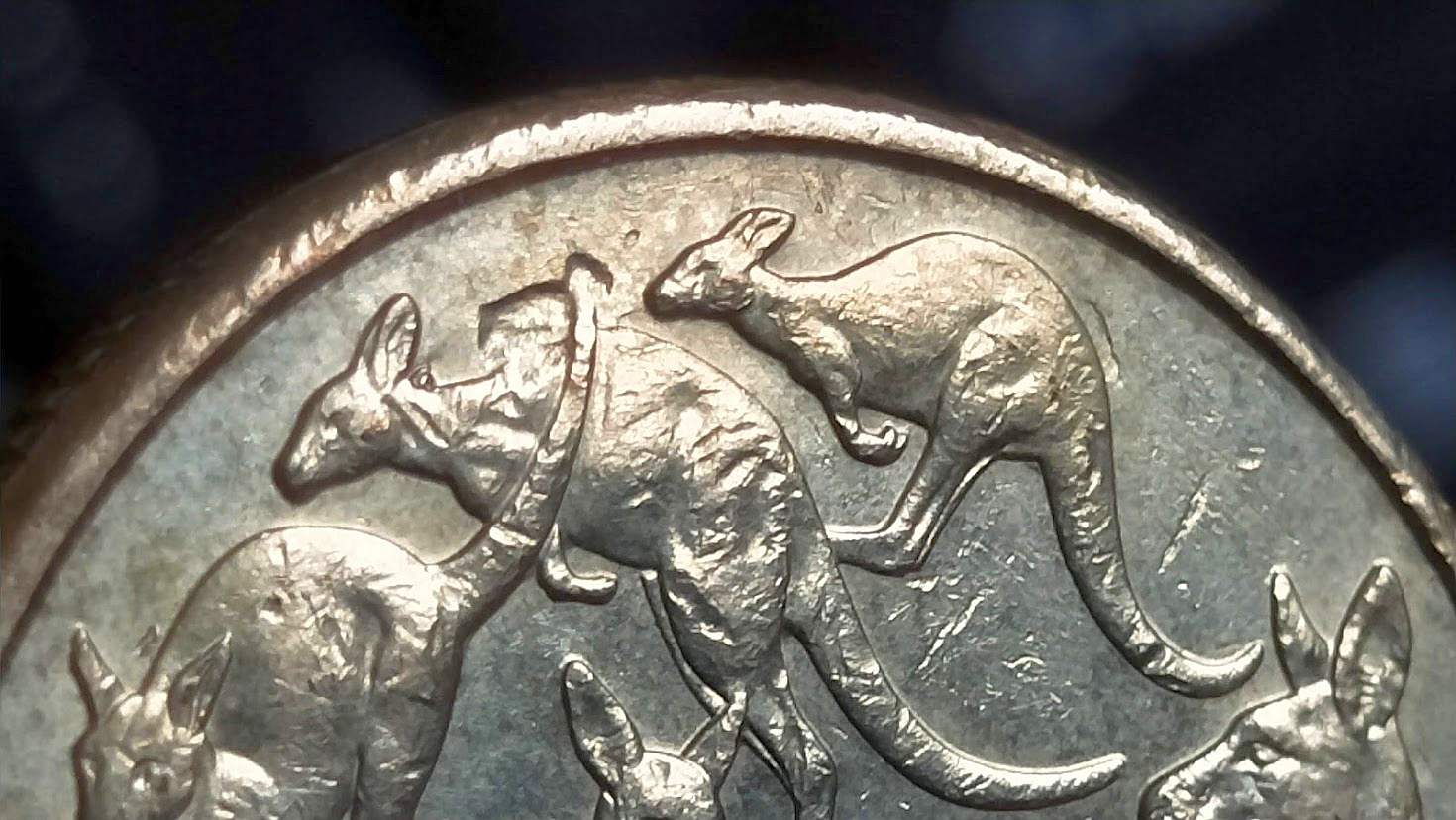 Australia-2016-$1-Mob-Of-Roos-With-Sunken-Kangaroo's-Head.-Or-PMD?---Expert-Opinion-Appreciated