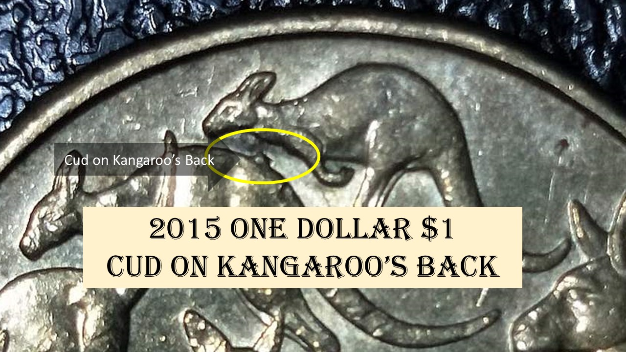 Australia-2015-$1-Mob-Of-Roos-Variety-Variations