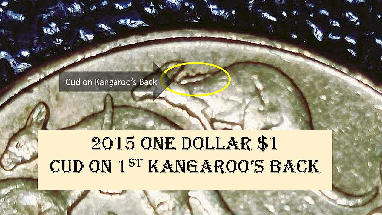 Australia-2015-$1-Mob-Of-Roos-Variety-Variations