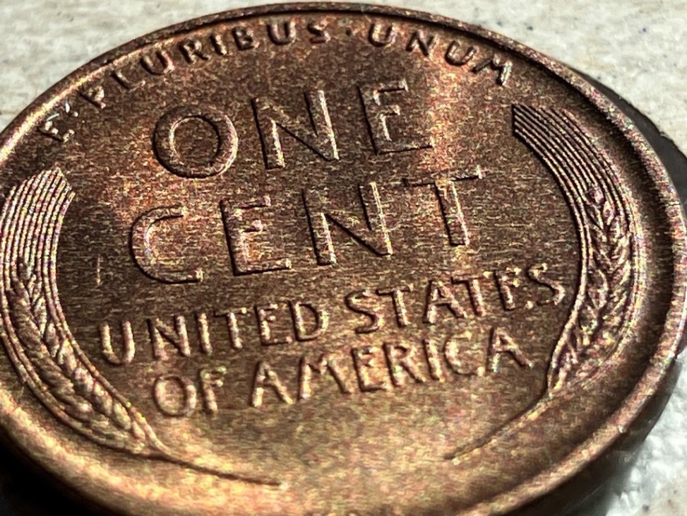 Please-Help-Grade-1909-VDB-Penny