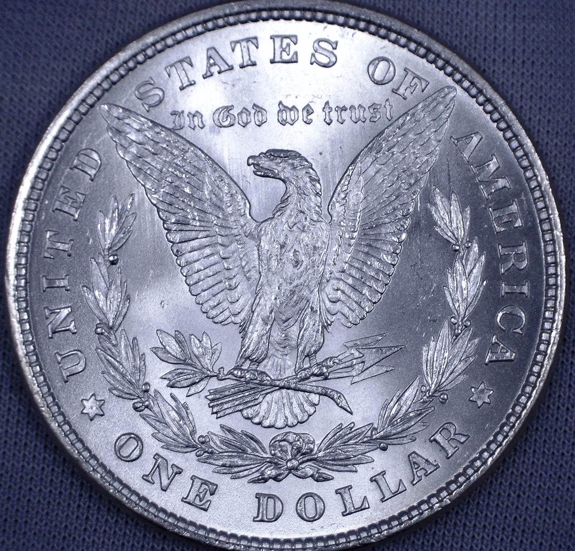 1878-P-Morgan-8-Tail-Feathers-For-Grading
