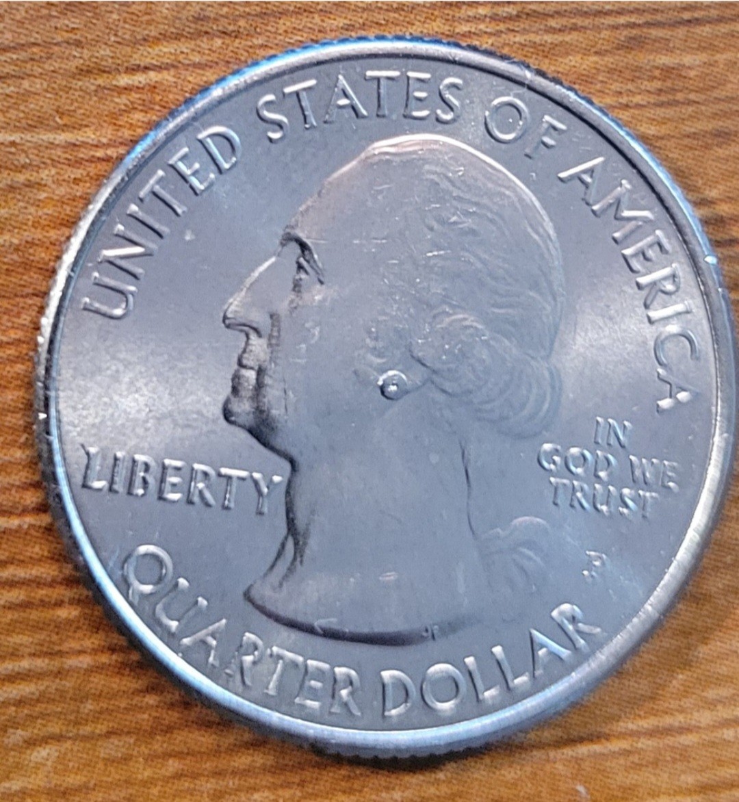 2019-P-Lowell-Earring-Error