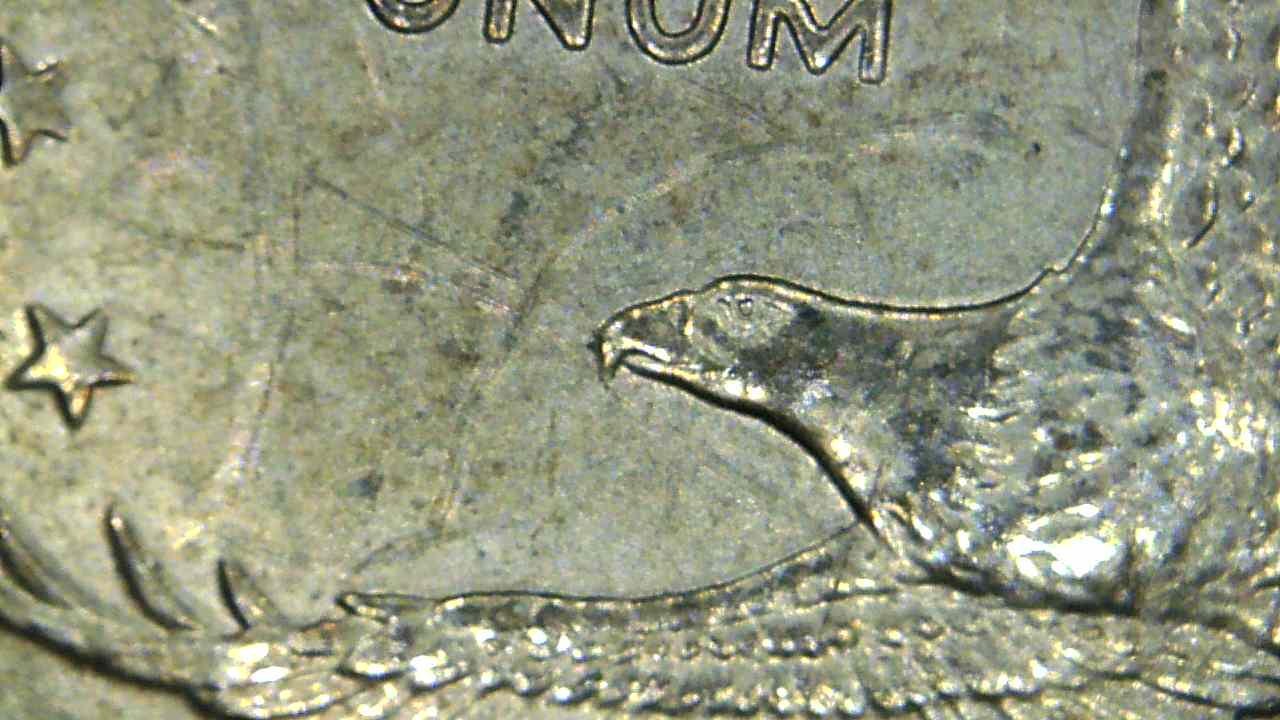2005-D-Sequoyah-Dollar