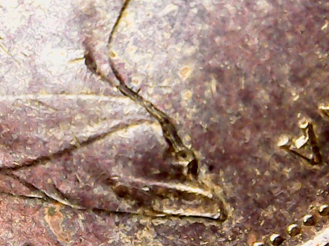 Hello-Everyone-I-Have-This-1979-One-Cent-That-Seems-To-From-A--Damaged-Die
