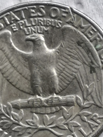 1981-D-Washington-Quarter-Dollar.-Misprint-Squashed-Lettering-?