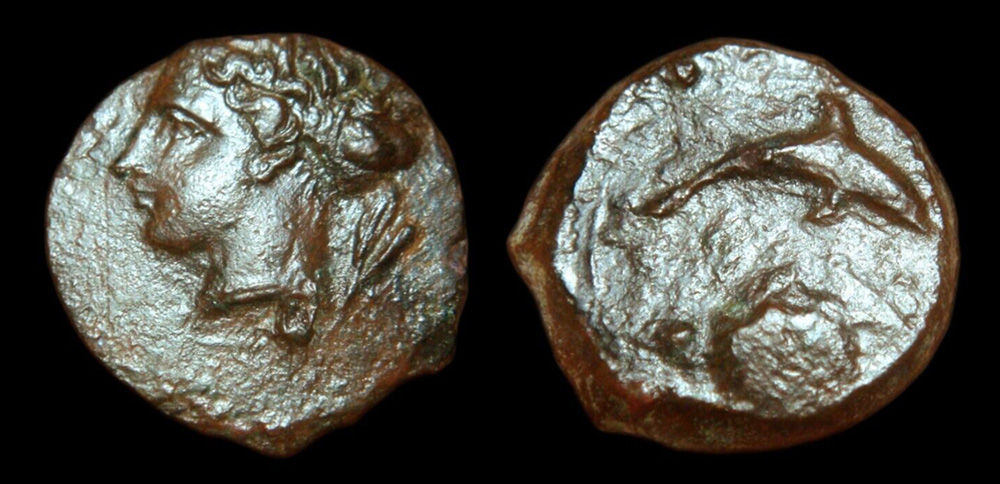 My-First-Animal-On-A-Coin.