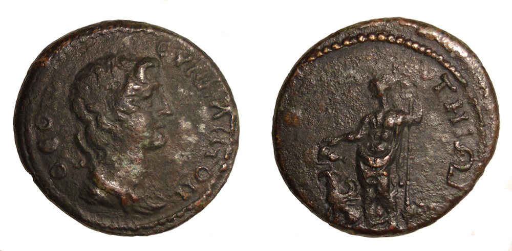 My-First-Animal-On-A-Coin.