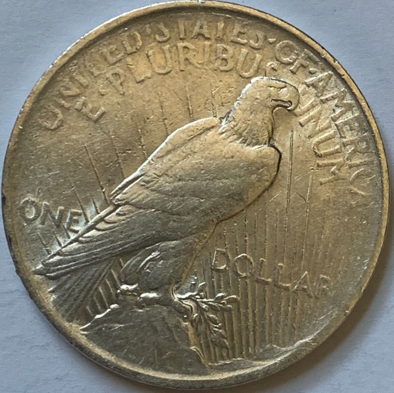 1922-Silver-Peace-Dollar---Grading-Help-Please