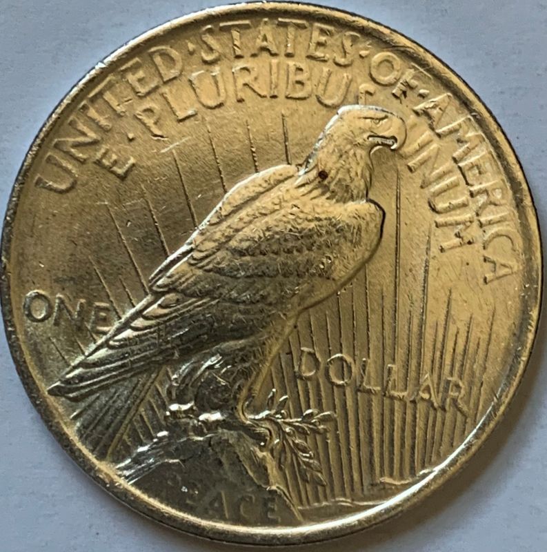 1922-Silver-Peace-Dollar---Grading-Help-Please
