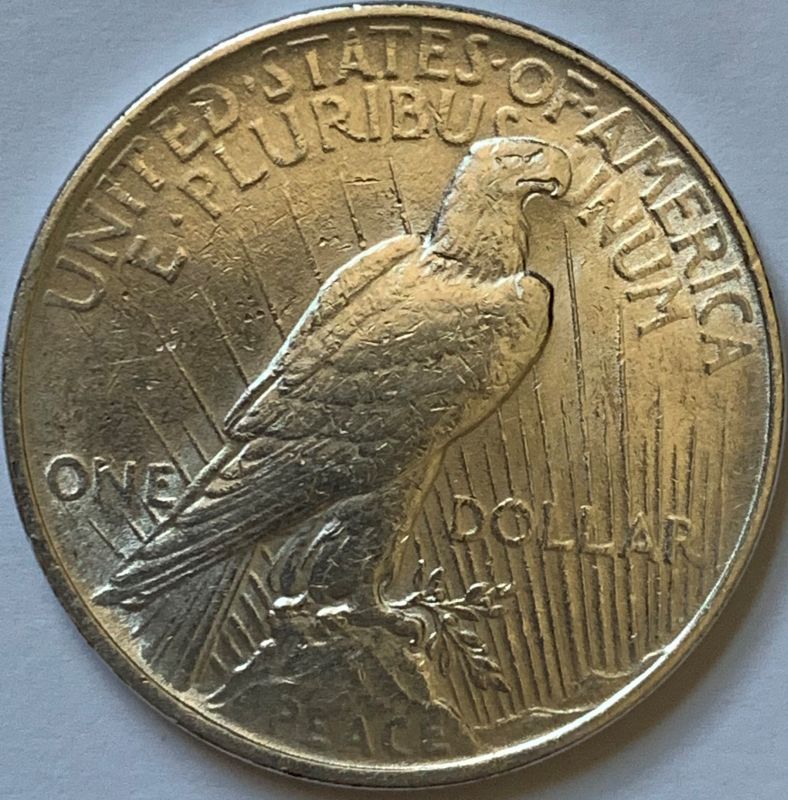 1922-Silver-Peace-Dollar---Grading-Help-Please