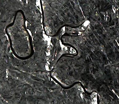 2007-P-Quarter---WY-Wyoming---WDDR-067