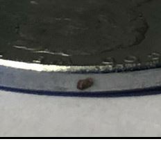 2014-Lincoln-Cent---Is-This-A-Fake-Coin?