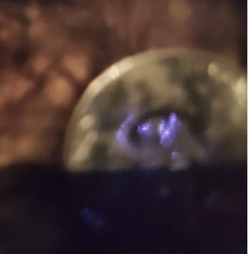 Fun-Thread---Worst-Coins-On-Ebay,-Etsy,-Craigslist,-And-Other-Buying-Sites!