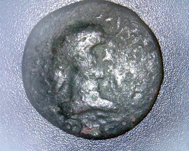 Agrippina-Jr-Still-Undecided