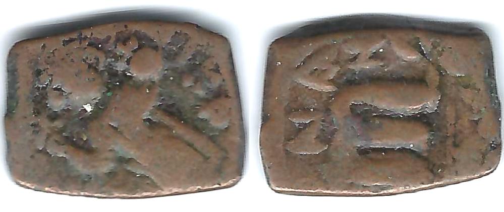 Rough-Oblong-Copper-Slug