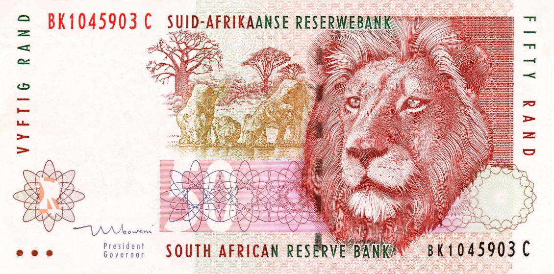 Post-Your-Notes-With-A-Lion
