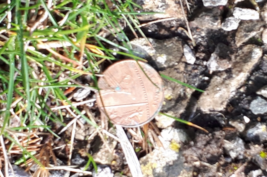 Post-Your-Stories-&-Pix-Of-Found-Money