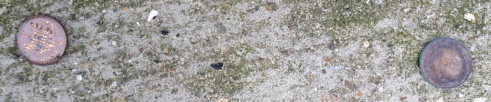 Post-Your-Stories-&-Pix-Of-Found-Money