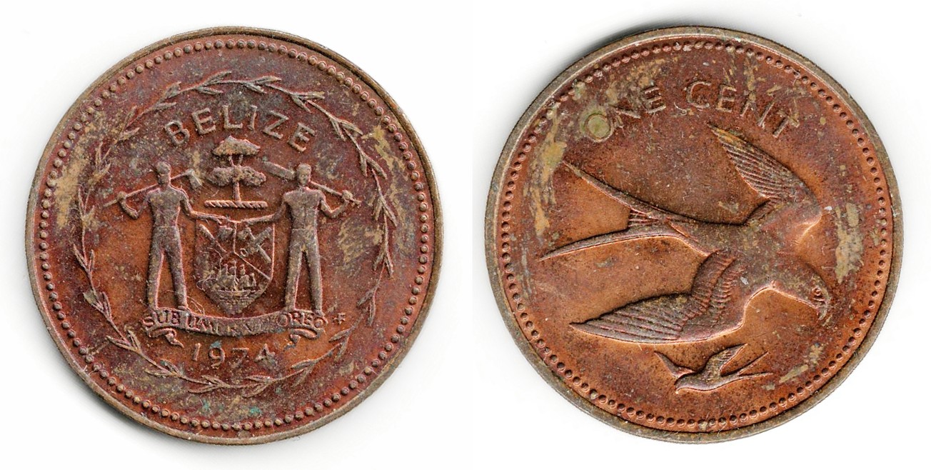 Post-Your-Bird-Coins