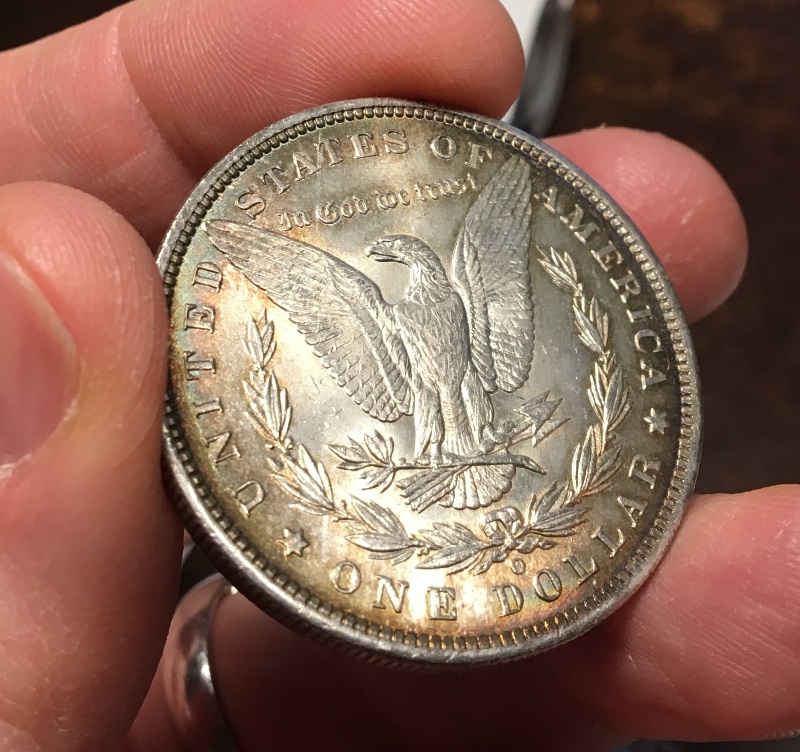 A-Couple-Recent-Pickups:--1888-O-Morgan-Dollar-Grading