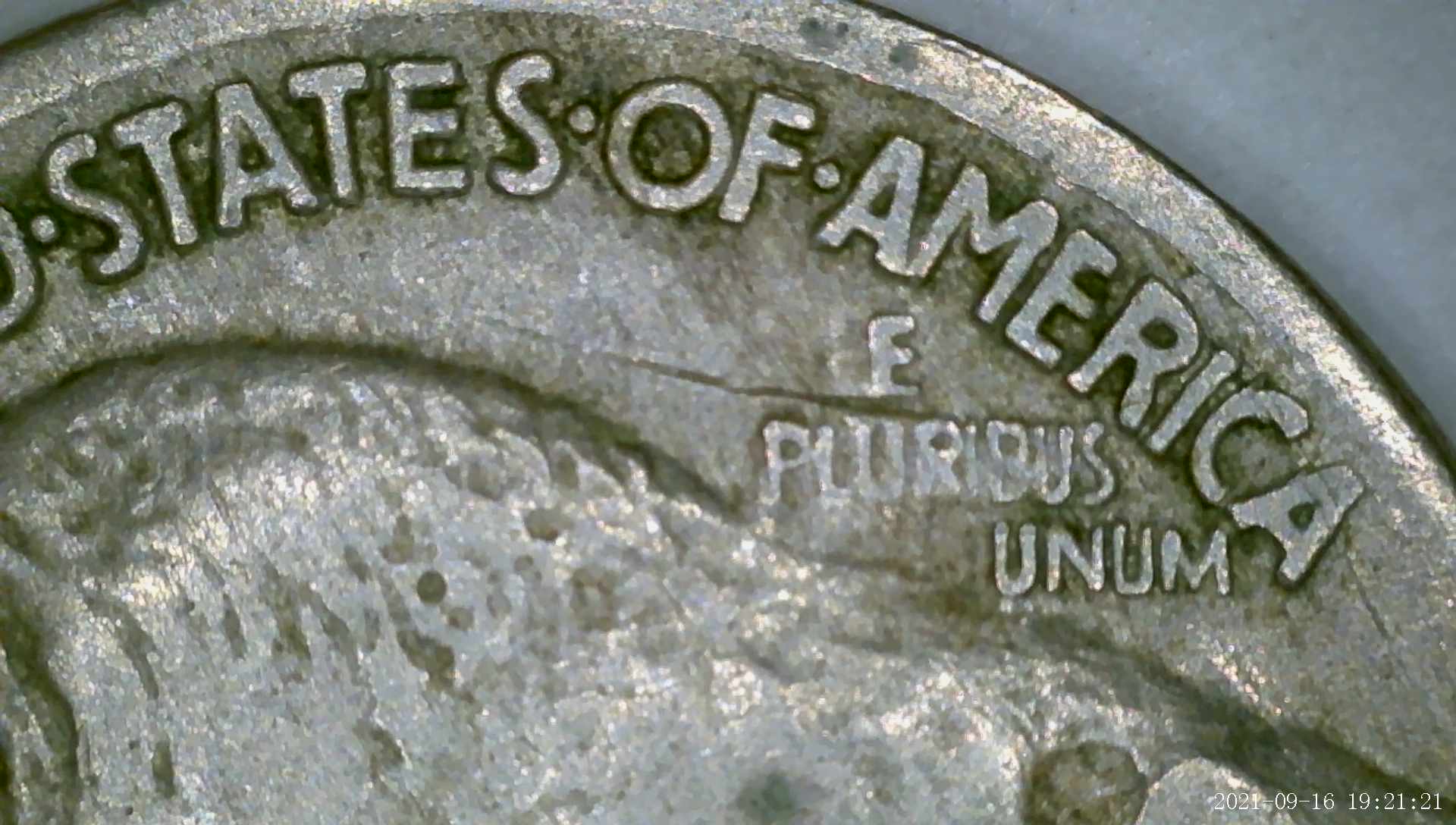 1914-Buffalo-Found-In-Wall-Today-Grade-Please