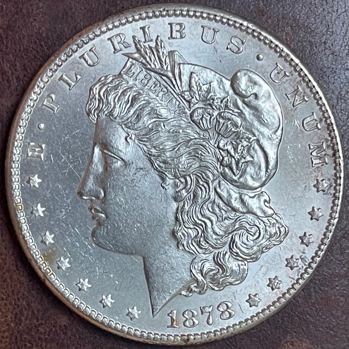 Thoughts-On-Grade?-1878-S-Morgan