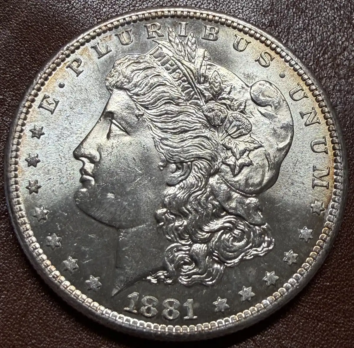 1881-S-Morgan-#?---Grade-It!