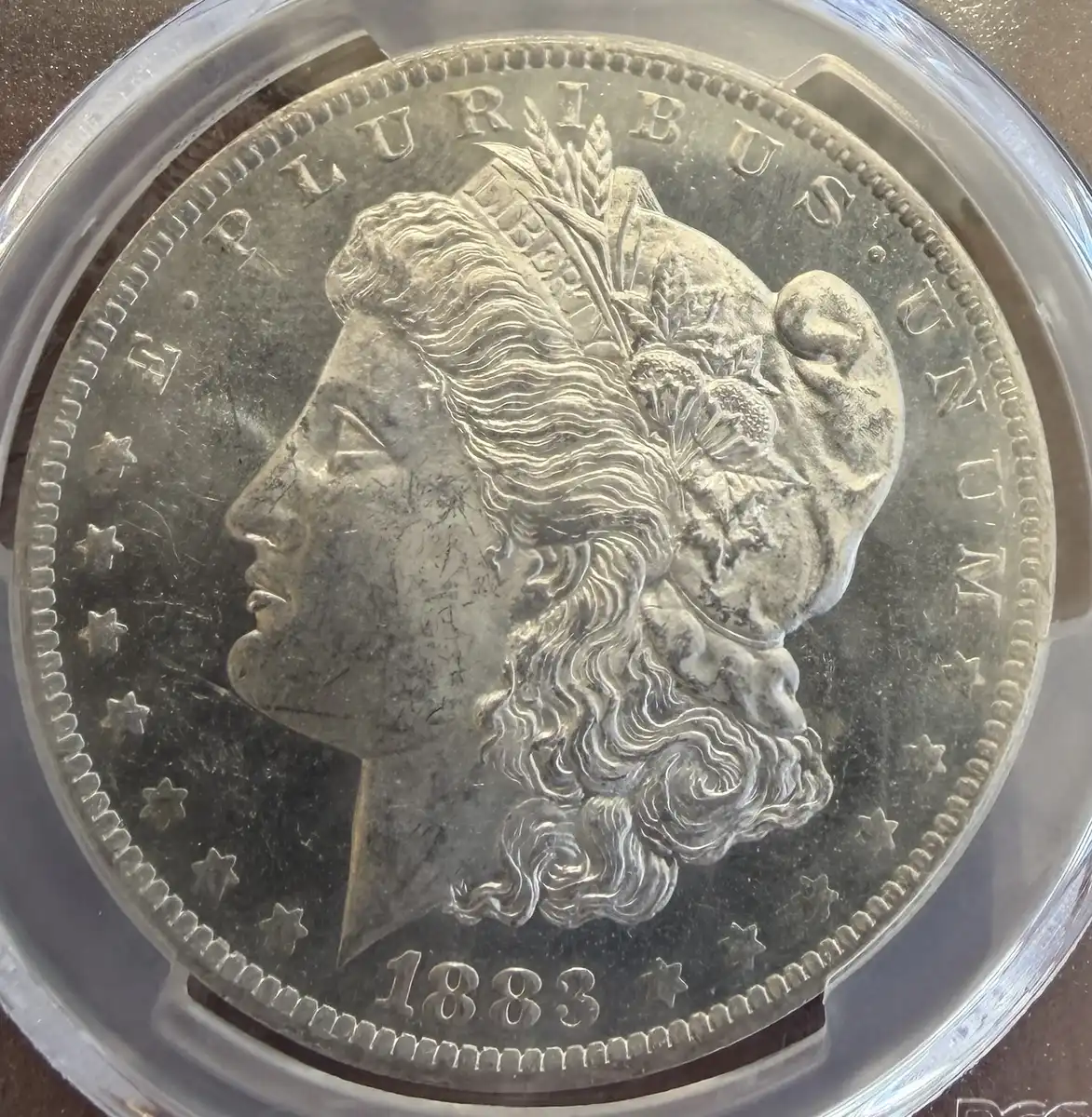 1883-O-Morgan-Dollar-Pl?-Grade-It!