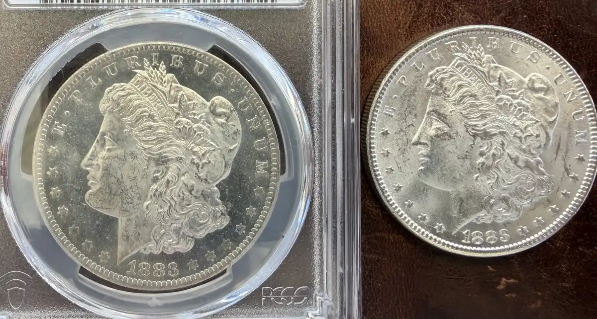 1883-O-Morgan-Dollar-Pl?-Grade-It!