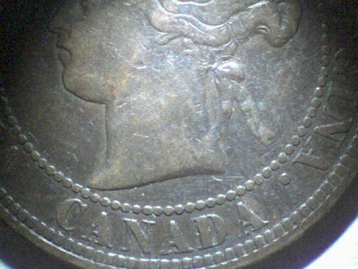 1881-H-Single-Serif-N---Thoughts?