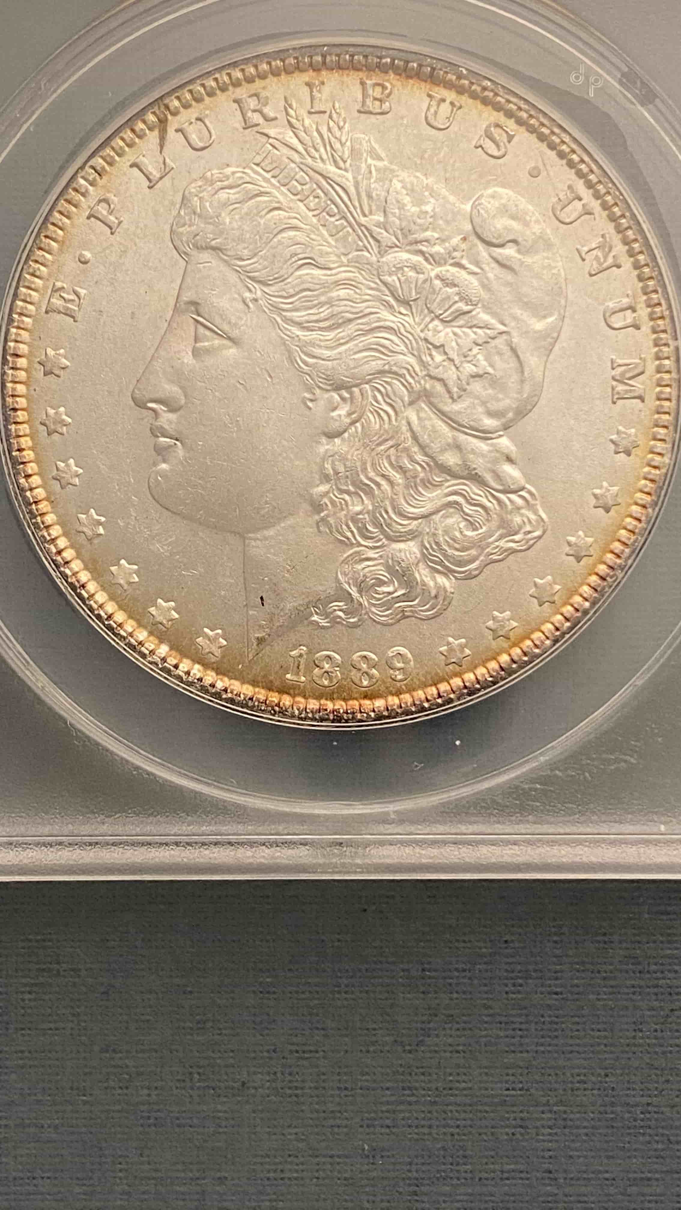 1889-P-Morgan-W/-Die-Chip---VAM-18-Or-18A-Or-...?