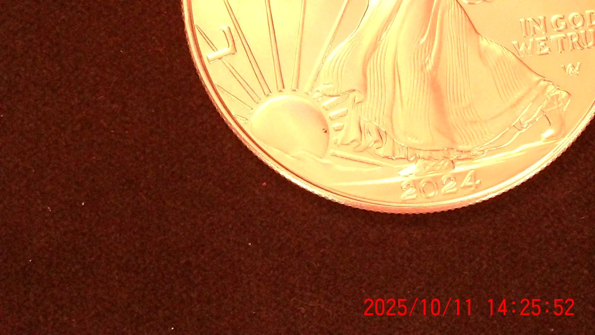 2024-American-Silver-Eagle-1-Oz-Bullion---Not-Sure-What-This-Spot-Is.