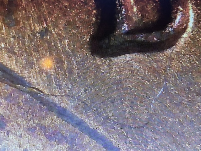 1957-D-Penny-Labeled-